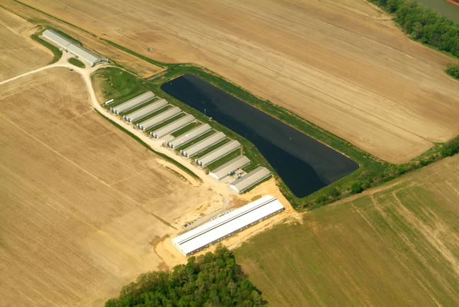 Chicken farms like this one of many in SW Indiana and Western Kentucky contribute greatly to the overall levels of ammonia in regional air. Photo © 2014 BlairPhotoEVV